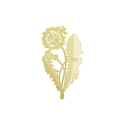 �ѹ�Ӣ���� CG-L6038