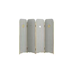 Blink ���L (ľ�|��Ļ) CG-L2111