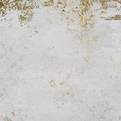 ���g-ԭ�����Ʊڮ� CG-NDC5011