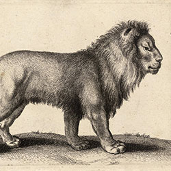 ��-ԭ�����Ʊڮ� CG-NDC5028