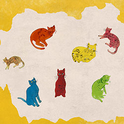 ؐ˹��-ԭ�����Ʊڮ� CG-NDC5099