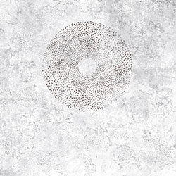 �ᭇ-ԭ��(chu��ng)���Ʊڮ� CG-NDC5118