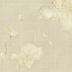 ���-ԭ��(chu��ng)���Ʊڮ�(hu��) CG-NDC5130