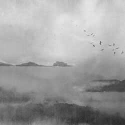 ɽˮ-ԭ��(chu��ng)���Ʊڮ� CG-NDC5170