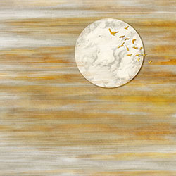 �L(f��ng)��-ԭ��(chu��ng)���Ʊڮ� CG-NDC5237