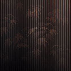 ���~-ԭ�����Ʊڮ� CG-NDC5241