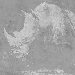 Ϭţ-ԭ�����Ʊڮ� CG-NDC5185