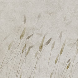 �uҷ-ԭ��(chu��ng)���Ʊڮ� CG-NDC5210