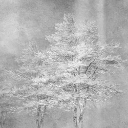 �Fڡ-ԭ��(chu��ng)���Ʊڮ� CG-NDC5221