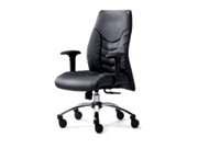 �F(xi��n)����Ƥ�а���