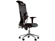 �W�������