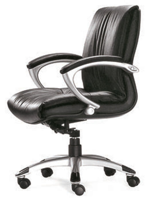 �k����|�F����Ƥ�а���|�k���Ҿ�|�F����Ƥ�а��� CG-LX2231-Z