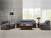 ���y��Ƥɳ�l CG-SA8039S