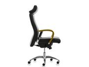 �F(xi��n)����Ƥ�����