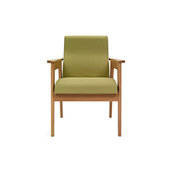 danesa armchair CG-D029