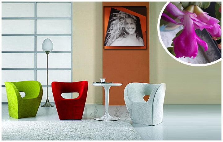 �F���������e��|�������e��|�k���Ҿ�|С����ؐ����|���e�����������e�����OӋ���Σ���͏d�Σ��ư���