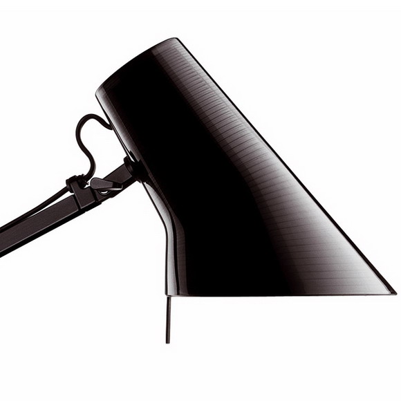 flos �P���_(t��i)��